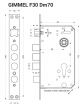 Gimmel F30 Tuya - умный полуавтоматический замок с домофоном DM70